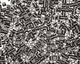 TOHO Matte Opaque Gray Triangle 11/0 Seed Bead