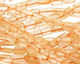 Citrine Irregular Thin Pillow 6-9x5-6mm