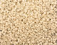 TOHO Opaque Pastel Frosted Egg Shell Treasure #1 Seed Bead