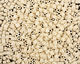 TOHO Opaque Pastel Frosted Egg Shell Triangle 11/0 Seed Bead