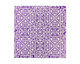 Lillypilly Purple Cross Stitch Anodized Aluminum Sheet 3"x3", 24 gauge