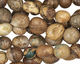 Green Vein Jasper Tumbled Nugget 7-11x10-14mm