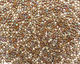 TOHO Opaque Rainbow Frosted Khaki Treasure #1 Seed Bead