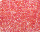 TOHO Transparent Rainbow Frosted Ruby Round 11/0 Seed Bead