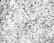 TOHO Transparent Frosted Crystal Treasure #1 Seed Bead