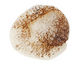 Druzy Freeform Piece (golden) 28-38x24-30mm