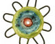Jangles Ceramic Chartreuse, Turquoise, Red Pinwheel 43-49mm