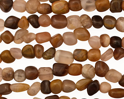 Brazil Petrified Wood Mini Tumbled Nugget 4-7x6mm