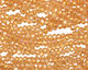 Colorado Crystal Faceted Rondelle 3mm