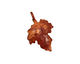Patricia Healey Copper Small Maple Leaf Charm 17x25mm