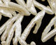 Pearly White Biwa Wishbone 13-16x30-35mm
