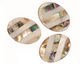 Abalone & Mother of Pearl Banded Mosaic Flat Oval 20x15mm