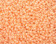 TOHO Ceylon Peach Blush Round 11/0 Seed Bead