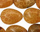 Fossil Coral (yellow) Flat Teardrop 25x18mm