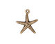 TierraCast Antique Gold (plated) Starfish Charm 17x20mm