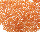 TOHO Transparent Rainbow Frosted Dark Topaz Round 8/0 Seed Bead