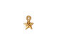 TierraCast Antique Gold (plated) Faceted Star Charm 8x11mm