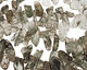 Tourmilated Quartz Tumbled Freeform Drop 4-6x10-12mm