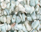 Larimar Chips