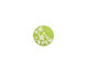 Lillypilly Lime Green Floral Vine Anodized Aluminum Disc 11mm, 24 gauge