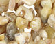Pineapple Yellow Opal Tumbled Nugget Drop 3-11x10-24mm
