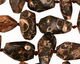Turritella Agate Side Faceted Nugget 6-20x8-18mm