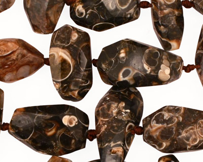 Turritella Agate Side Faceted Nugget 6-20x8-18mm