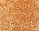 TOHO Transparent Rainbow Frosted Dark Topaz Round 11/0 Seed Bead