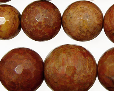 Fossil Coral (red) Faceted Round Graduated 10-20mm