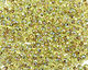 TOHO Rainbow Peridot (with Gold Lining) Magatama 3mm Seed Bead