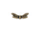 TierraCast Antique Brass (plated) Dragonfly Wings 7x20mm