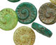 Czech Glass Aloe Ammonite Coin 17mm