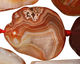 Red Line Agate Faceted Flat Freeform Slab 29-38x22-35mm