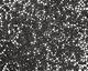 TOHO Opaque Frosted Jet Treasure #1 Seed Bead