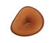 Tagua Nut Honey Banana Chip 22-29x16-22mm
