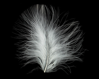 Ivory Marabou Feather 100-152mm