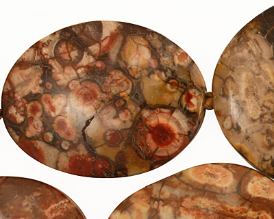 Bird's Eye Jasper Freeform Slab Graduated 28-42x20-37mm