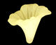 Lucite Lemon Trumpet Flower 35x28mm