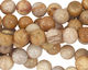 Fossil Coral Round 8mm