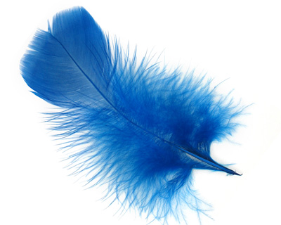Royal Blue Turkey Flat Feather 100-152mm