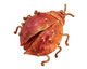 Patricia Healey Copper Lady Bug Pendant 42x47mm
