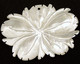 Mother of Pearl Carved Flower Pendant 44x30mm