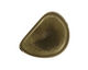 Tagua Nut Olive Banana Chip 22-29x16-22mm