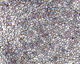TOHO Rainbow Light Sapphire (with Gold Lining) Round 11/0 Seed Bead
