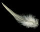 Creme Neck Hackle Feather 100-152mm