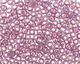 TOHO Transparent Rainbow Light Amethyst Round 6/0 Seed Bead