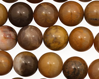 Brazil Petrified Wood Round 12mm