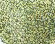 TOHO Rainbow Jonquil (with Forest Green Lining) Round 11/0 Seed Bead