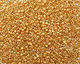 TOHO Metallic Gold Gold Treasure #1 Seed Bead