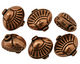 Antique Copper Flat Oval with Shell 14x16mm